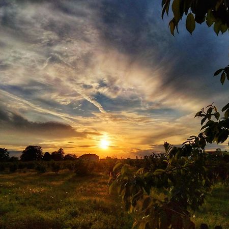 La Fattoria Del Soul Hotel Bosco Marengo Екстериор снимка